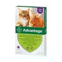 Advantage 80 macska/nyúl 0,8ml 4kg feletti A.U.V. 1x