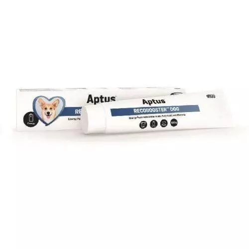 Aptus RecoBooster Dog paszta A.U.V. 100g