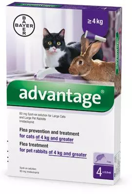 Advantage 80 macska/nyúl 0,8ml 4kg feletti A.U.V. 4x Advantage 80 macska/nyúl 0,8ml 4kg feletti A.U.V. 4x