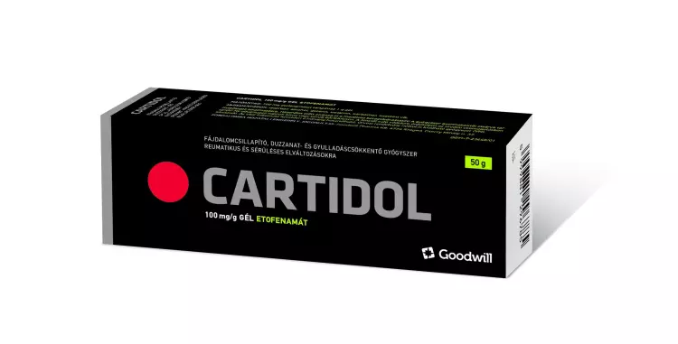 Cartidol 100 mg/g gél 100g Cartidol 100 mg/g gél 100g