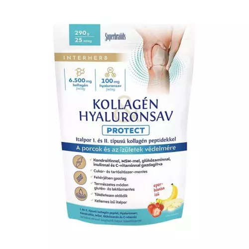 Interherb Protect kollag.-hyal. italpor eper-banán 290g