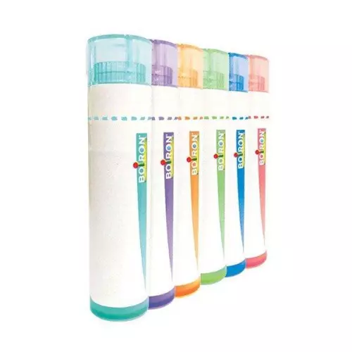 Abies nigra golyócskák C    9 4g